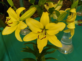 Foto: Dr. Peter Müller